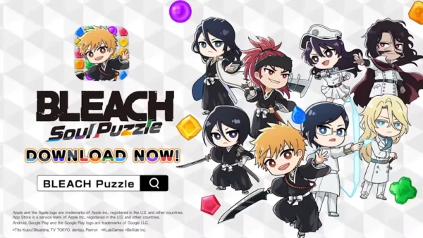 Bleach Soul Puzzle