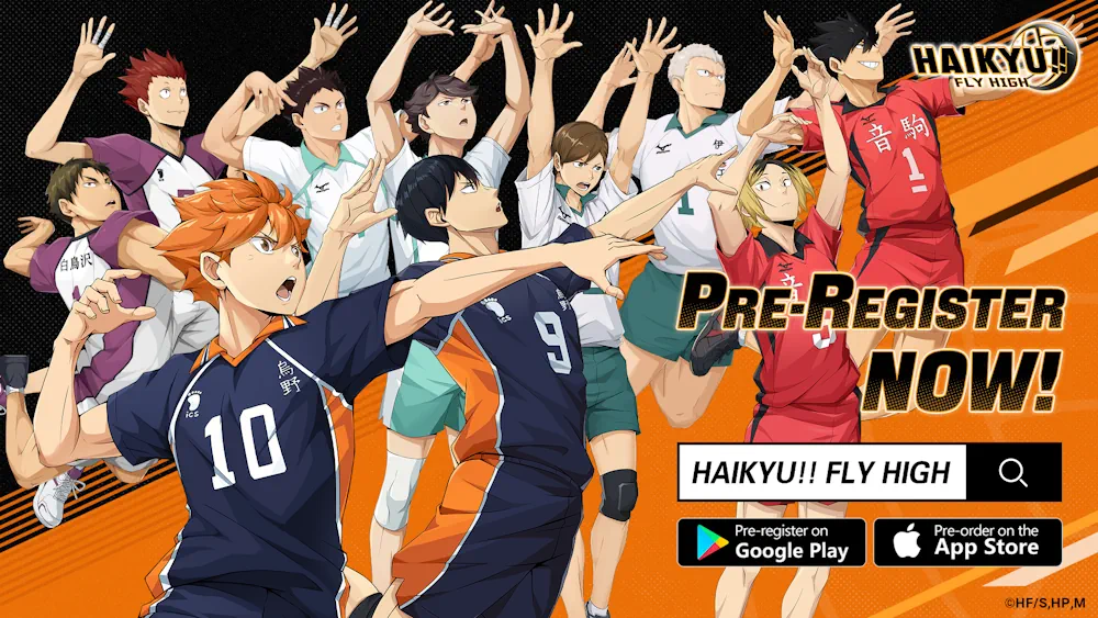 HAIKYU!! FLY HIGH
