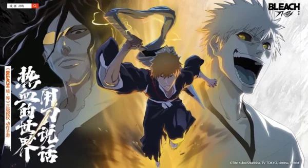 Bleach Soul Resonance