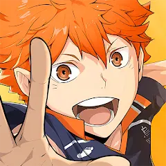 HAIKYU!! FLY HIGH icon