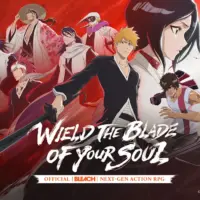 Bleach Soul Resonance
